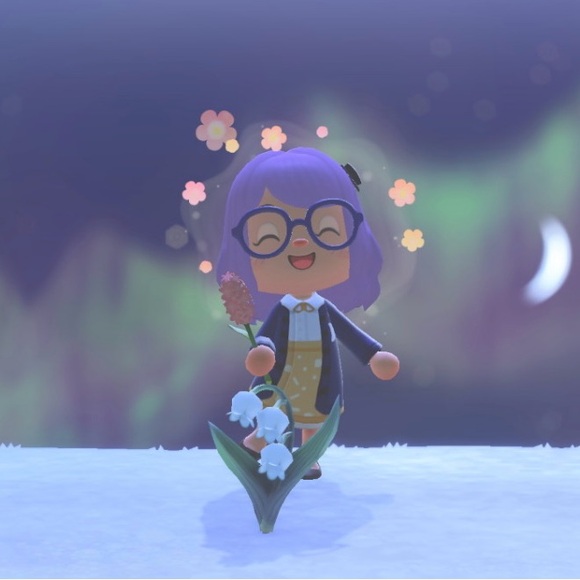 Meet your Posher, Jamie - Picture 1 of 1